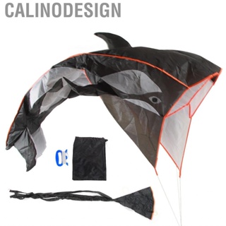 Calinodesign New Unisex 3D Whale Kite Frameless Soft Parafoil Cartoon