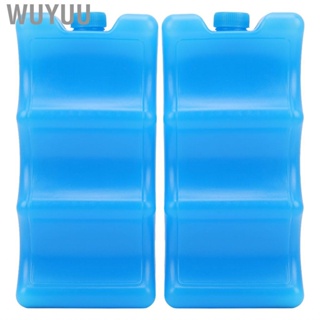 Wuyuu 2Pcs Breastmilk Ice Pack Contoured Shape Reusable Box For