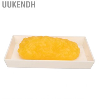 Uukendh Authentic Human Body Fat Replica Anatomical Model