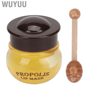 Wuyuu Honey Lip Balm  Nourishing  Fade Line  10g Overnight  Dead Skin  Moisturizing for Women Day Care