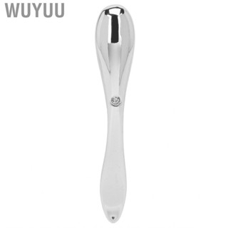 Wuyuu Facial  Applicator Zinc Alloy Portable Eye   Tool Skin Care Dual Use for Daily Dark Circles