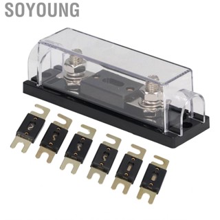 Soyoung ANL Fuse 60A 80A 100A 150A 250A 300A Holder With Transparent Cover For