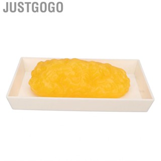 Justgogo Authentic Human Body Fat Replica Anatomical Model