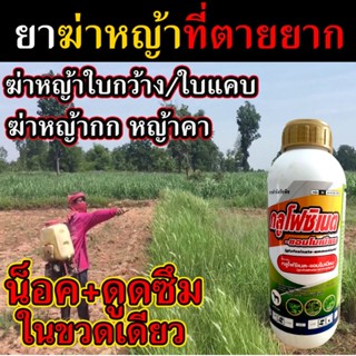 💥สูตรใหม่💥ฆ่าหญ้าแห้วหมู 1 ลิตร 💥สูตรเผาไหม้+ดูดซึม💥 ฆ่าหญ้าใบกว้าง ฆ่าหญ้าใบแคบ กำจัดหญ้าใบแคบ กำจัดหญ้าใบกว้าง