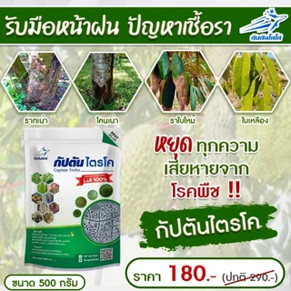 กัปตันไตรโค ฆ่าโรคเชื้อรา (ขนาด 500กรัม) *รักษาปัญหาโรคพืช ครบจบทีเดียว* ไตรโคเดอร์มา ของเเท้100%ปลอดภัย 100 %