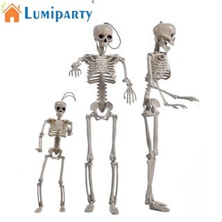 Lumiparty โมเดลโครงกระดูก พร็อพสําหรับตกแต่งปาร์ตี้ฮาโลวีน