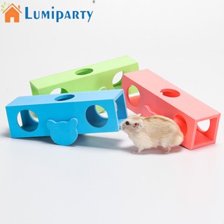 Lumiparty อุโมงค์ไม้ ความแข็งแรงสูง ของเล่นสําหรับสัตว์เลี้ยง หนูแฮมสเตอร์