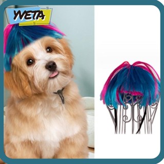 Yveta วิกผมไนล่อน ขนาดเล็ก ระบายอากาศ สีชมพู สีฟ้า อุปกรณ์เสริม สําหรับสุนัข