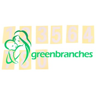 Greenbranches1 สติกเกอร์ตัวเลขสะท้อนแสง 0-9 10 ชุด พร้อมแท็บเหนียว แยกง่าย สําหรับกล่องจดหมาย (2 นิ้ว)