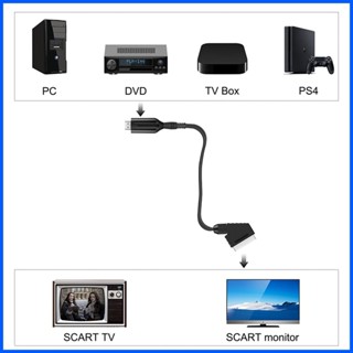 D717 สายเคเบิล HD เป็น SCART ติดตั้งง่าย 1 เมตร สําหรับอุปกรณ์ที่มี rdath