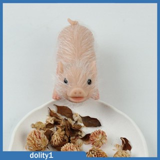 [Dolity1] ของเล่นหมูประสาทสัมผัส ขนาดเล็ก สําหรับเด็ก และผู้ใหญ่ ตกแต่งบ้าน