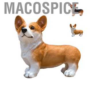 Macospice Dog Statue Vivid Cute Style Small Compact Resin Material Corgi Ornament for Gardens Indoor Desks