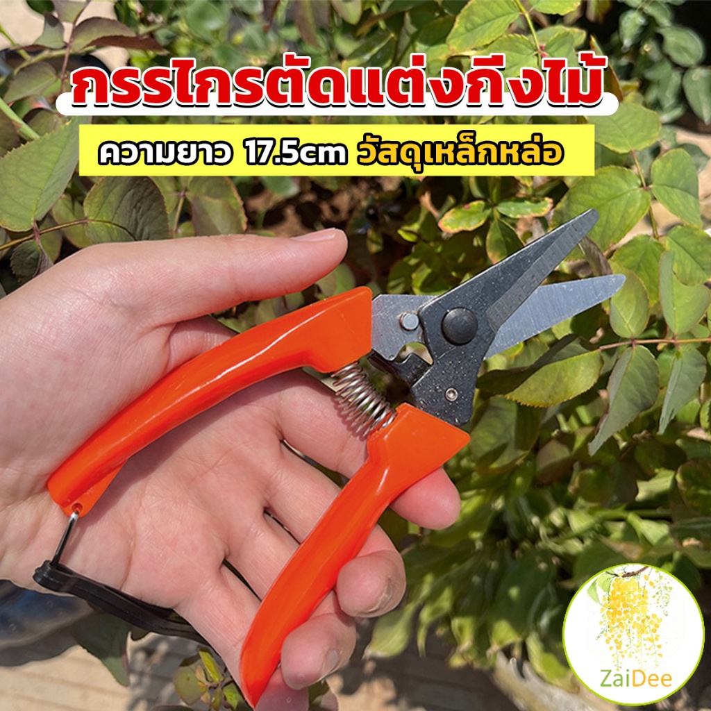 กรรไกรแต่งกิ่งไม้ เหล็กคาร์บอน สำหรับใช้ในสวน ด้ามกระชับมือ กรรไกรตัดแต่งกิ่งไม้ garden shears