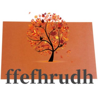 Ffefhrudh แผ่นบอร์ดวงจร PCB ทองแดง 30 ซม. x 20 ซม. DIY