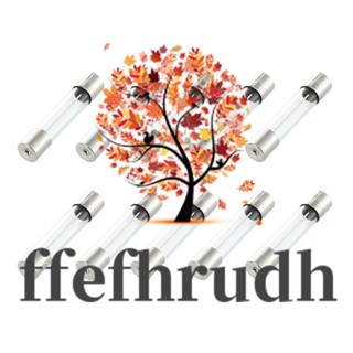 Ffefhrudh ฟิวส์หลอดแก้ว 6x30 มม. 250V 10A 10 ชิ้น