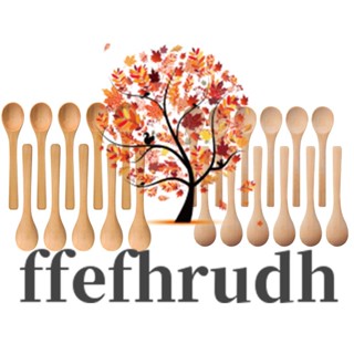 Ffefhrudh ช้อนไม้ ขนาดเล็ก สําหรับเสิร์ฟเครื่องปรุง น้ําผึ้ง ชา 30 ชิ้น