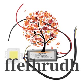 Ffefhrudh อะแดปเตอร์พาวเวอร์ซัพพลาย 50W LED IP67 กันน้ํา และชิปหลอดไฟ LED 50W ประหยัดพลังงาน สําหรับไฟกลางวัน DIY