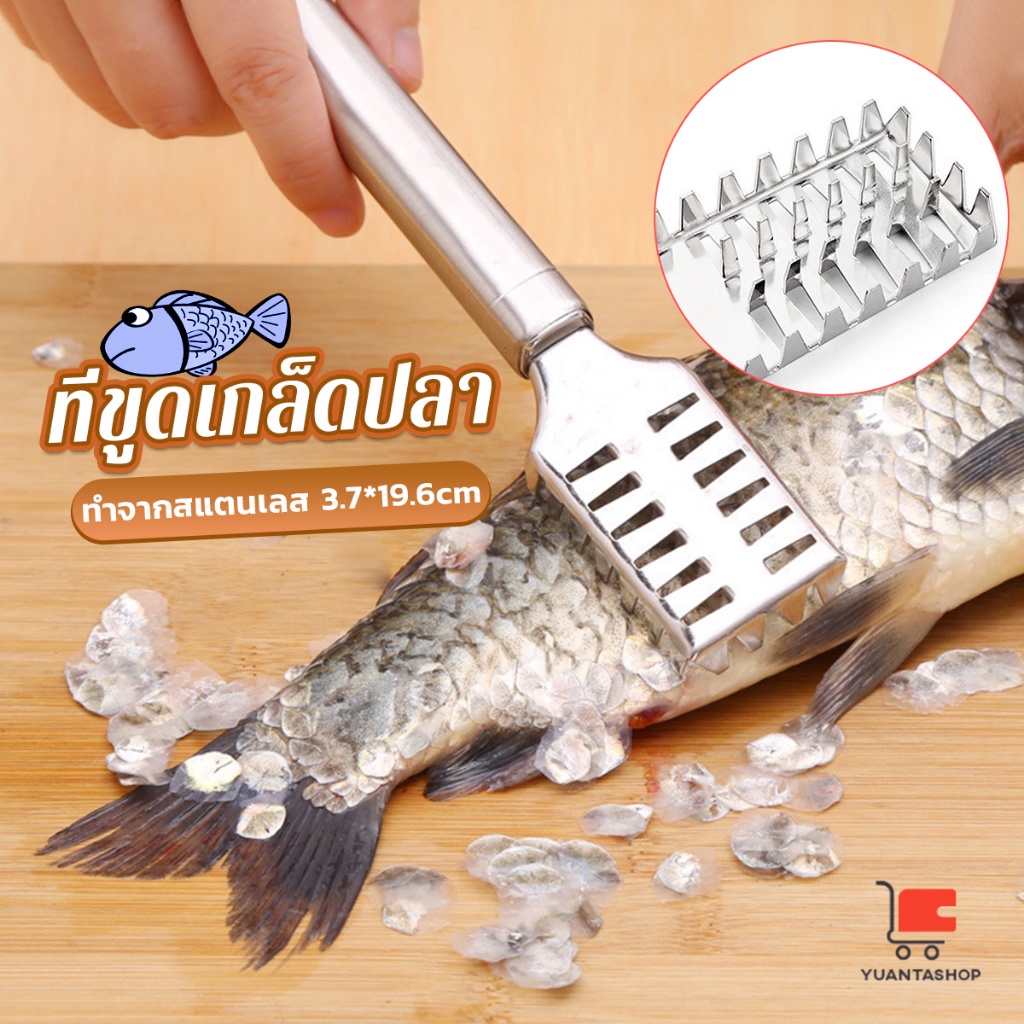 ที่ขูดเกล็ดปลา ที่ขอดเกล็ด สแตนเลส เครื่องใช้ในครัว ที่ขอดเกล็ดปลา Fish scale scraper