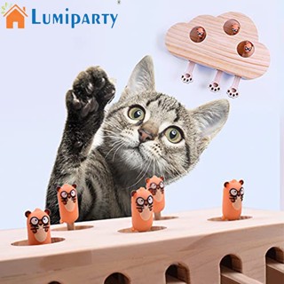 Lumiparty ของเล่นไม้ เกมไฝปริศนา เพื่อการออกกําลังกาย สําหรับแมวในร่ม