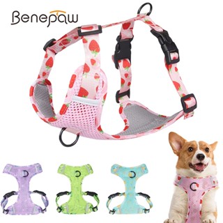 Benepaw สายจูงสุนัข ไม่ดึง ทนทาน นุ่ม ระบายอากาศ ตาข่ายสะท้อนแสง คลิปด้านหน้า พิมพ์ลายผลไม้ สัตว์เลี้ยง ลูกสุนัข เสื้อกั๊ก สายรัด ไม่สําลัก