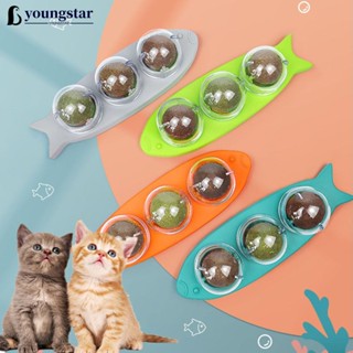 Youngstar ลูกบอลมิ้นท์ หมุนได้ อุปกรณ์เสริม สําหรับสัตว์เลี้ยง แมว G6Y9