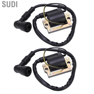 Sudi Engine Ignition Coil  Exquisite Workmanship Low Fuel Consumption for Motorcycle