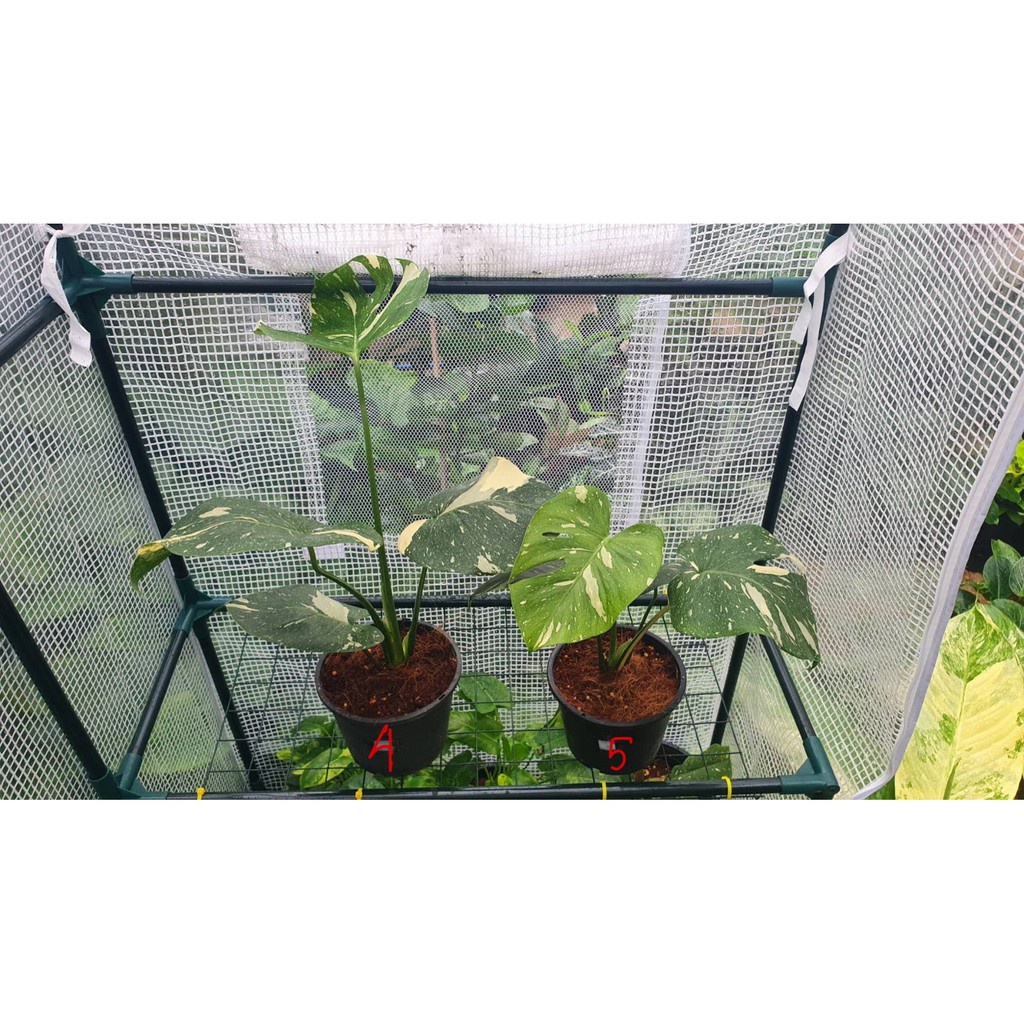 มุมมอง 3