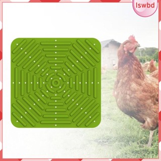 [lswbd] แผ่นรังไก่ สําหรับวางไข่ในสวนสัตว์ปีก