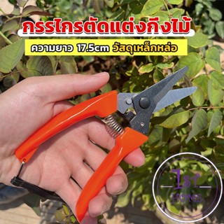 กรรไกรแต่งกิ่งไม้ เหล็กคาร์บอน สำหรับใช้ในสวน ด้ามกระชับมือ garden shears