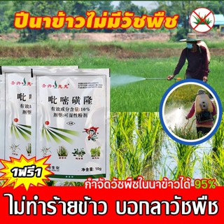 วัชพืช ไม่ทำร้ายข้าว! ยาคุมหญ้าข้าว คุมฆ่าในนาข้าว เข้มข้นสุดๆ 10g กำจัดหญ้าในนาข้าว นาหว่าน หญ้าข้าวนก วัชพืชใบกว้าง