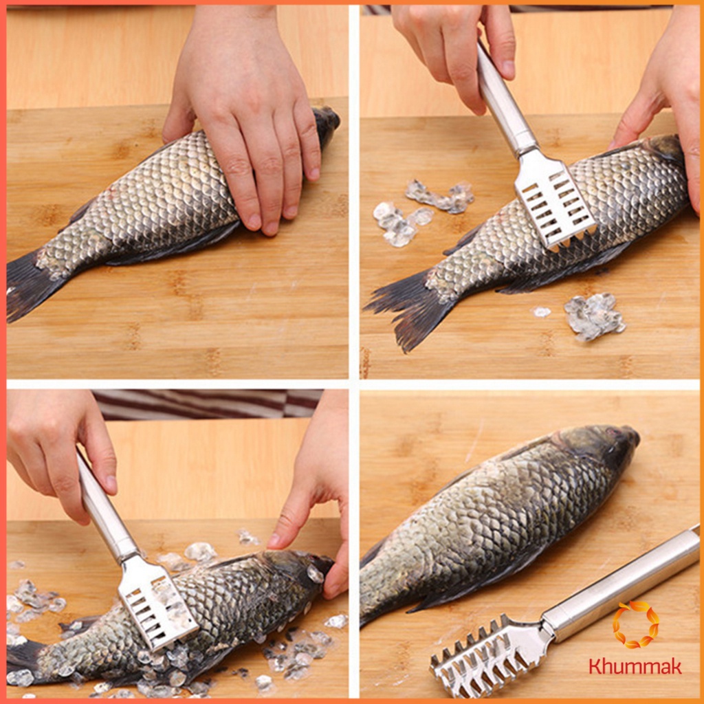 Khummak ที่ขูดเกล็ดปลา ที่ขอดเกล็ด สแตนเลส เครื่องใช้ในครัว Fish scale scraper ราคา ถูกที่สุด ดีลบีเคเค แกลเลอรีภาพที่ 2
