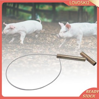 [Lovoski2] ที่จับหมู สเตนเลส สําหรับสัตว์เลี้ยง สุนัข