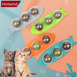 Hotwind ลูกบอลมิ้นท์ หมุนได้ อุปกรณ์เสริม สําหรับสัตว์เลี้ยง แมว K1P4