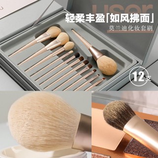 Spot second hair# makeup brush set molandi 12 Cangzhou soft hair eyeshadow brush powder brush eyebrow brush concealer brush ainoqi gift box 8.cc