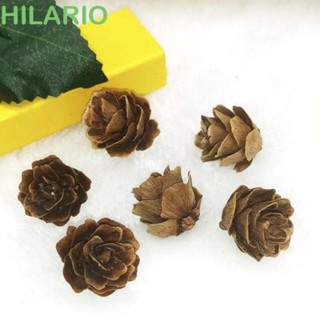 Hilario กรวยสนปลอม ขนาดเล็ก DIY สําหรับตกแต่งบ้าน เทศกาลปีใหม่ ปาร์ตี้วันเกิด