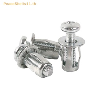 Peaceshells น็อตสกรูโลหะ M5 M6 10 ชิ้น สําหรับผิวเหล็กกลวง