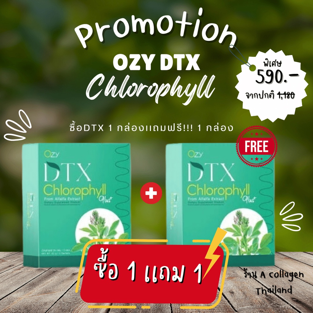 OZY DTX คลอโรฟิลล์ พี่หนิง ปณิตา ✅ Build ปรับสมดุล ระบบเลือดและน้ำเหลือง กระตุ้นภูมิคุ้มกัน  ร้าน A Collagen Thailand