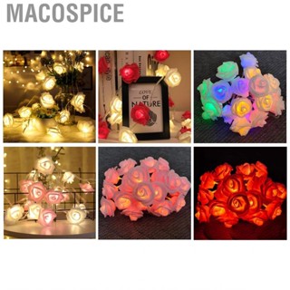 Macospice String Light  Rose Wedding Festival Decoration