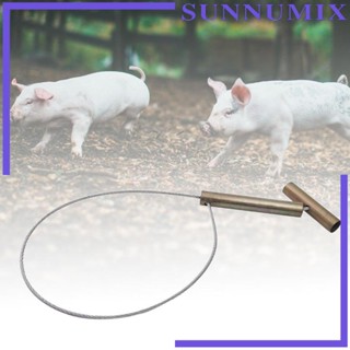 [Sunnimix] ที่จับหมู สเตนเลส สําหรับสัตว์เลี้ยง สุนัข ไวน์