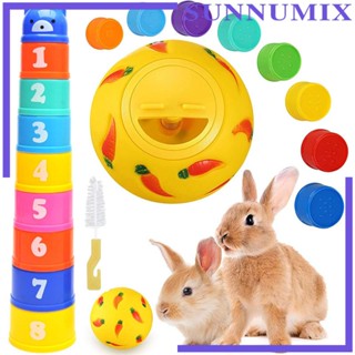 [Sunnimix] ถ้วยสีรุ้ง และลูกบอลเปิด ปรับได้ สําหรับกระต่าย หนูตะเภา