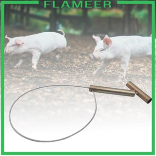 [Flameer] ที่จับหมู สเตนเลส สําหรับสัตว์เลี้ยง สุนัข ไวน์