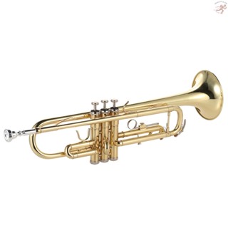 Hlluth Trumpet Bb เครื่องดนตรีทองเหลือง เพ้นท์สีทอง ทนทาน พร้อมสายคล้องปากเป่า