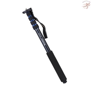 Hlluth Telescopic  Adjustable Portable Aluminium Alloy Photography DSLR Camera Camcorder Monopod Unipod Pole Walking Stick for  Canon Pentax Olympus Elders