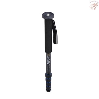 Hlluth 5-Section Telescopic Carbon Fiber Lightweight Photography DSLR Camera Monopod Unipod Walking Stick for  Canon Pentax Olympus Elders