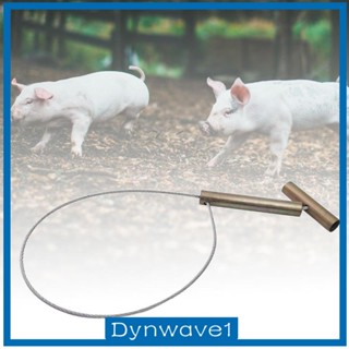 [Dynwave1] ที่จับหมู สเตนเลส สําหรับสัตว์เลี้ยง สุนัข