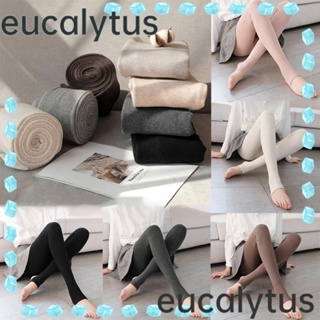 Eucalytus1 ถุงน่องเลกกิ้ง ผ้าฝ้าย ยืดหยุ่นสูง ให้ความอบอุ่น แฟชั่นฤดูใบไม้ผลิ และฤดูใบไม้ร่วง