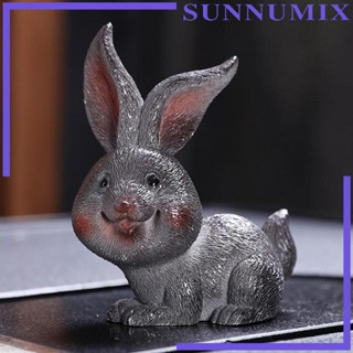 [Sunnimix] ชุดชาเรซิ่น รูปกระต่าย กังฟู เปลี่ยนสีได้ สําหรับห้องชา