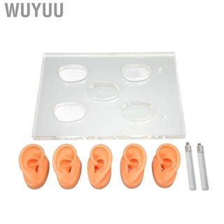 Wuyuu Silicone Ear Model   for ENT Hospitals