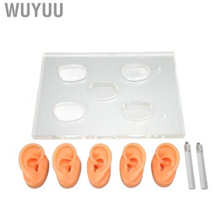 Wuyuu Silicone Ear Model   for ENT Hospitals