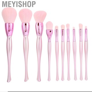 Meyishop 10pcs Makeup Brush Set Professional Cosmetic